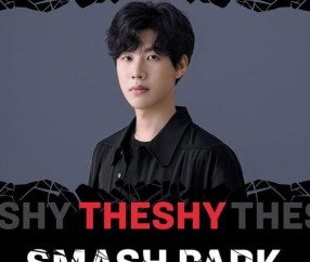 关于TheShy回归赛场，战术调整首场状态亮眼，加拿大队观众沸腾！的信息